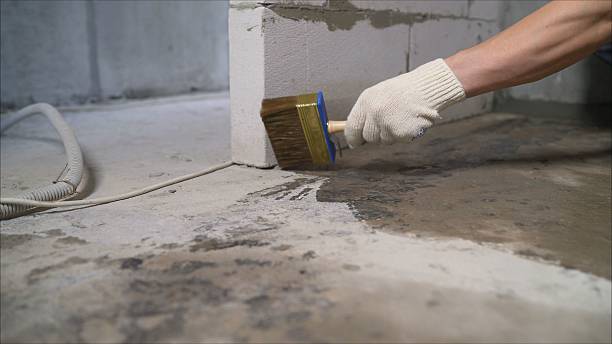 SJ Waterproofing Pros Waterproofing coverage map for Randolph, AL and surrounding area